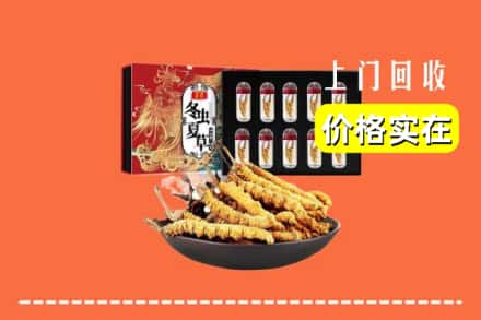 新郑市回收虫草